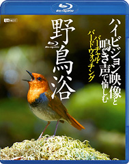 DVD『野鳥浴』（RDA05）