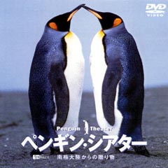 ペンギンDVDキャラクターグッズ