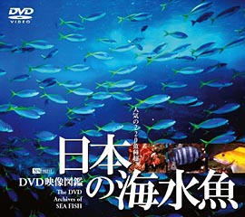 Dvd 日本の海水魚 シンフォレスト公式サイト