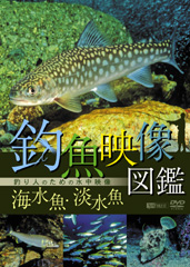 DVD『釣魚映像図鑑［海水魚・淡水魚］釣り人のための水中映像』(SDA89)ジャケ写