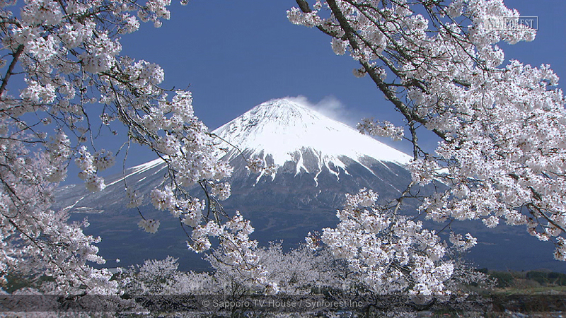 DVD］富士山百景 自宅で愉しむ「ベスト・オブ・富士山」 | シン