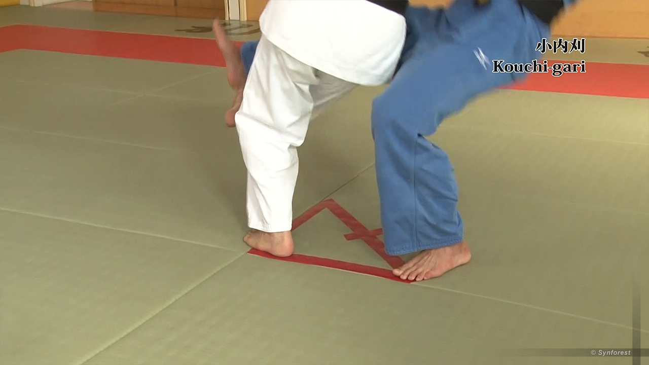 DVD］古賀稔彦の柔道教室 一本柔道 | シンフォレスト公式サイト